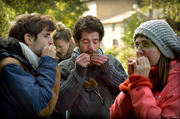 Musique Verte - CFMI ©Doumé